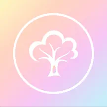 树洞
